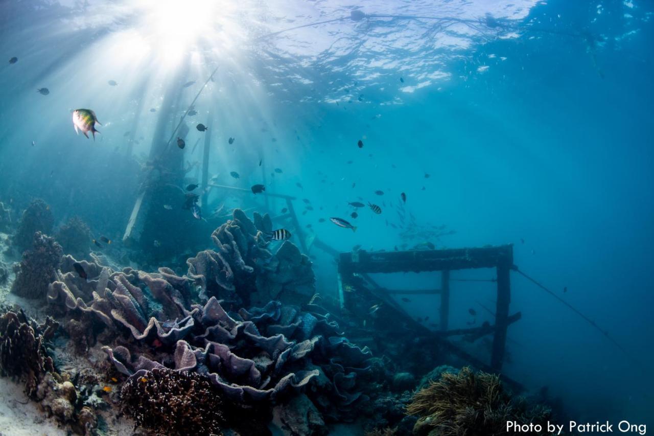 Borneo Divers Mabul Resort Mabul Island Exterior foto