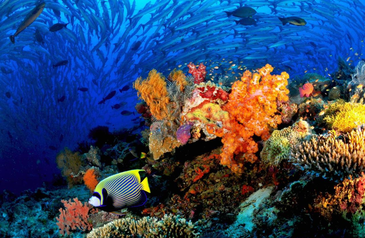 Borneo Divers Mabul Resort Mabul Island Exterior foto