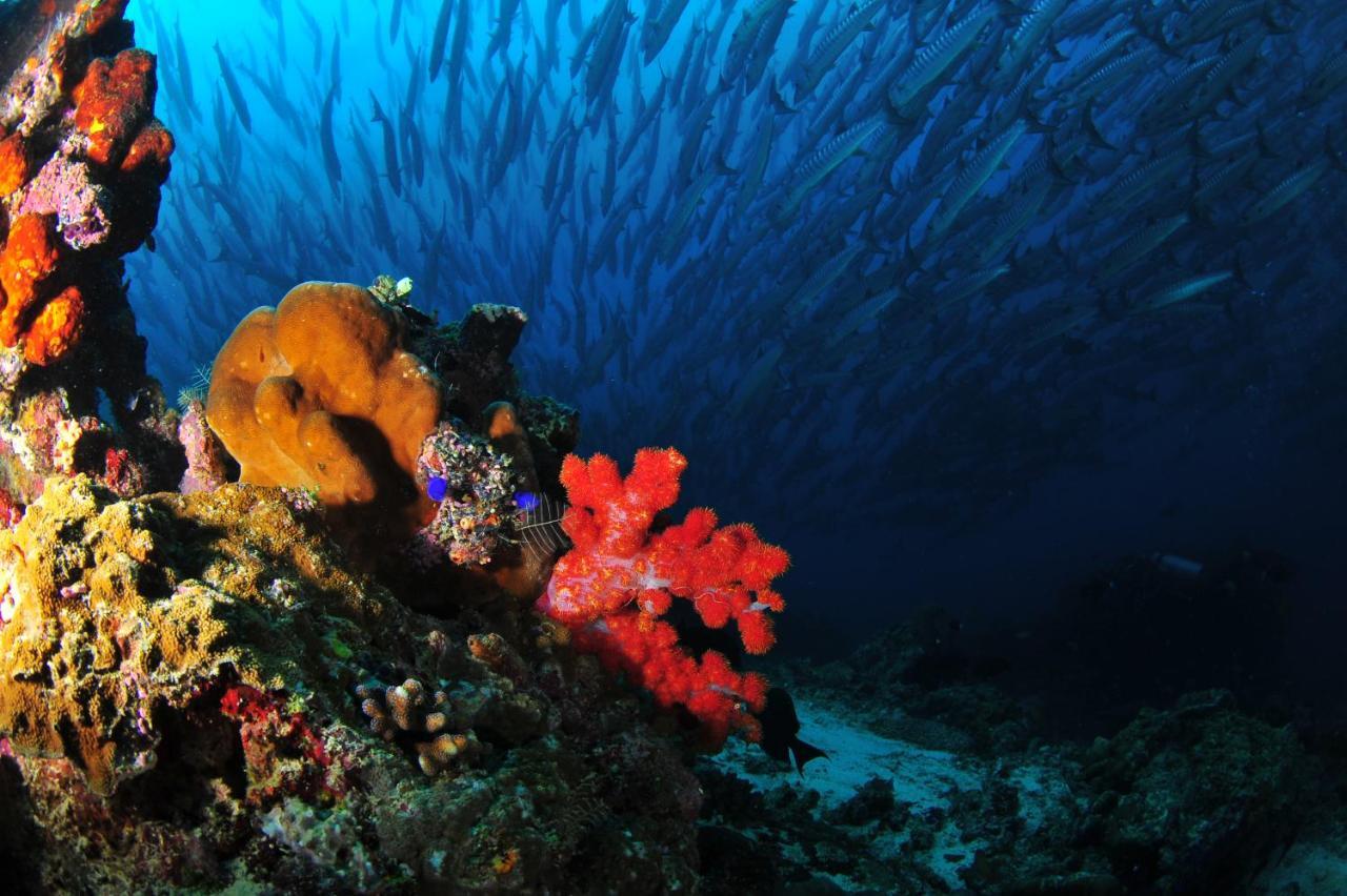 Borneo Divers Mabul Resort Mabul Island Exterior foto