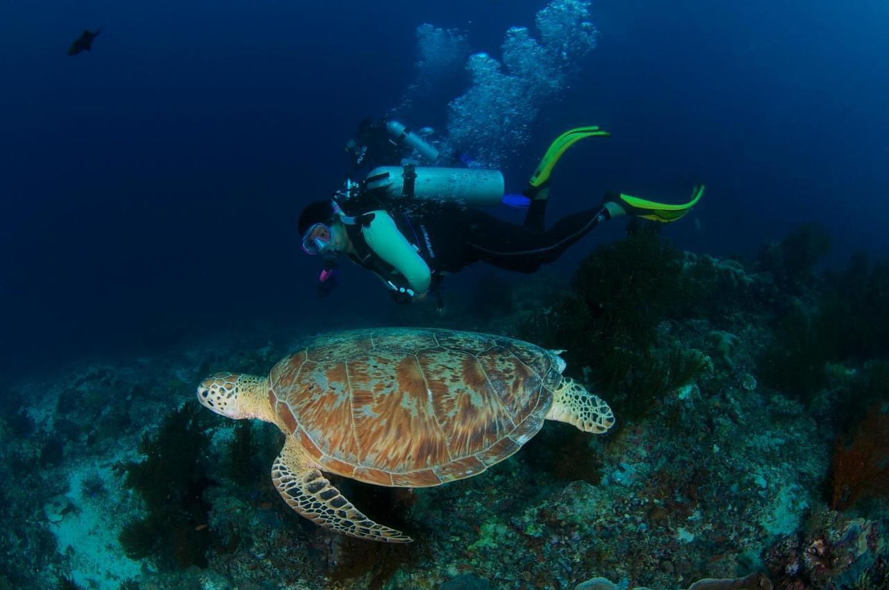 Borneo Divers Mabul Resort Mabul Island Exterior foto
